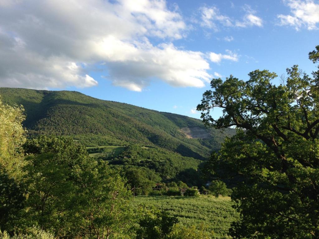 Agriturismo Nizzi Villa Assisi Bagian luar foto