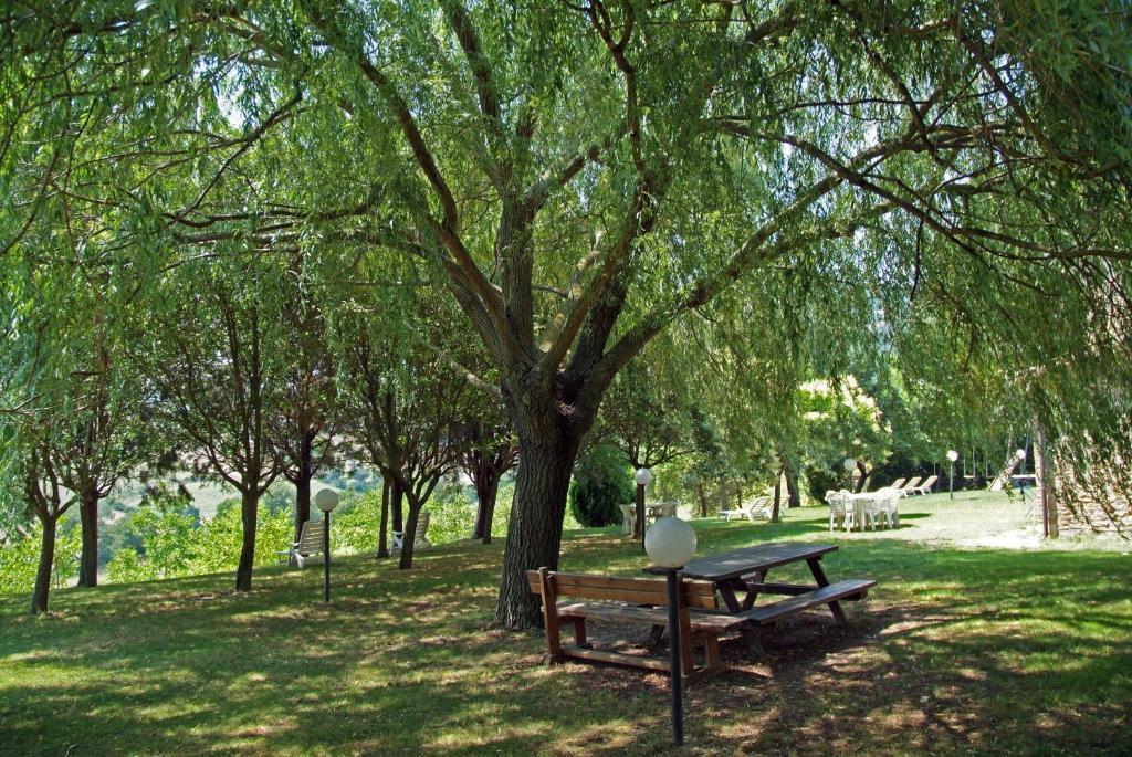 Agriturismo Nizzi Villa Assisi Bagian luar foto